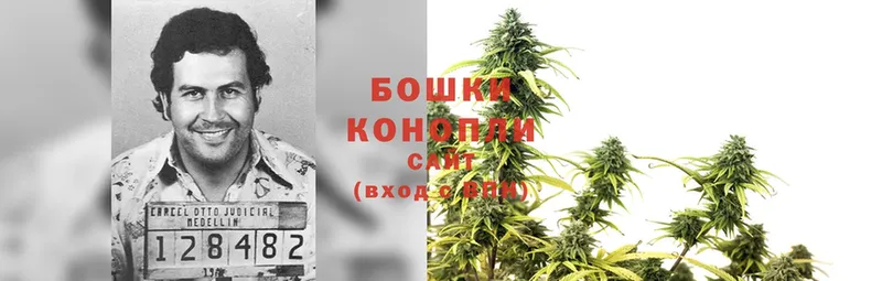 Конопля SATIVA & INDICA  где купить   Зеленогорск 